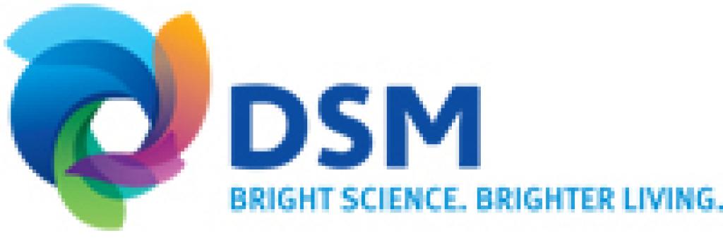 Logo DSM